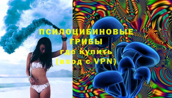 гидра Волоколамск