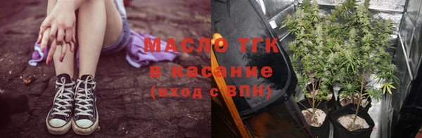 гидра Волоколамск
